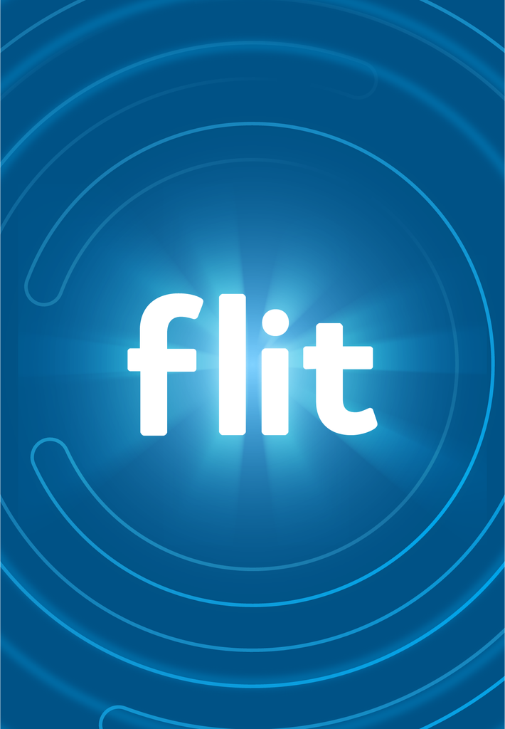 Treinamento e Aprendizado Flit