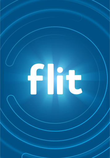 Treinamento e Aprendizado Flit